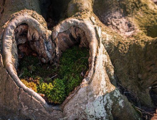 Speaking and Listening from the Heart